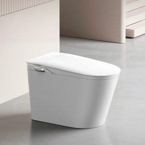 Bồn Cầu Thông Minh KST-U6